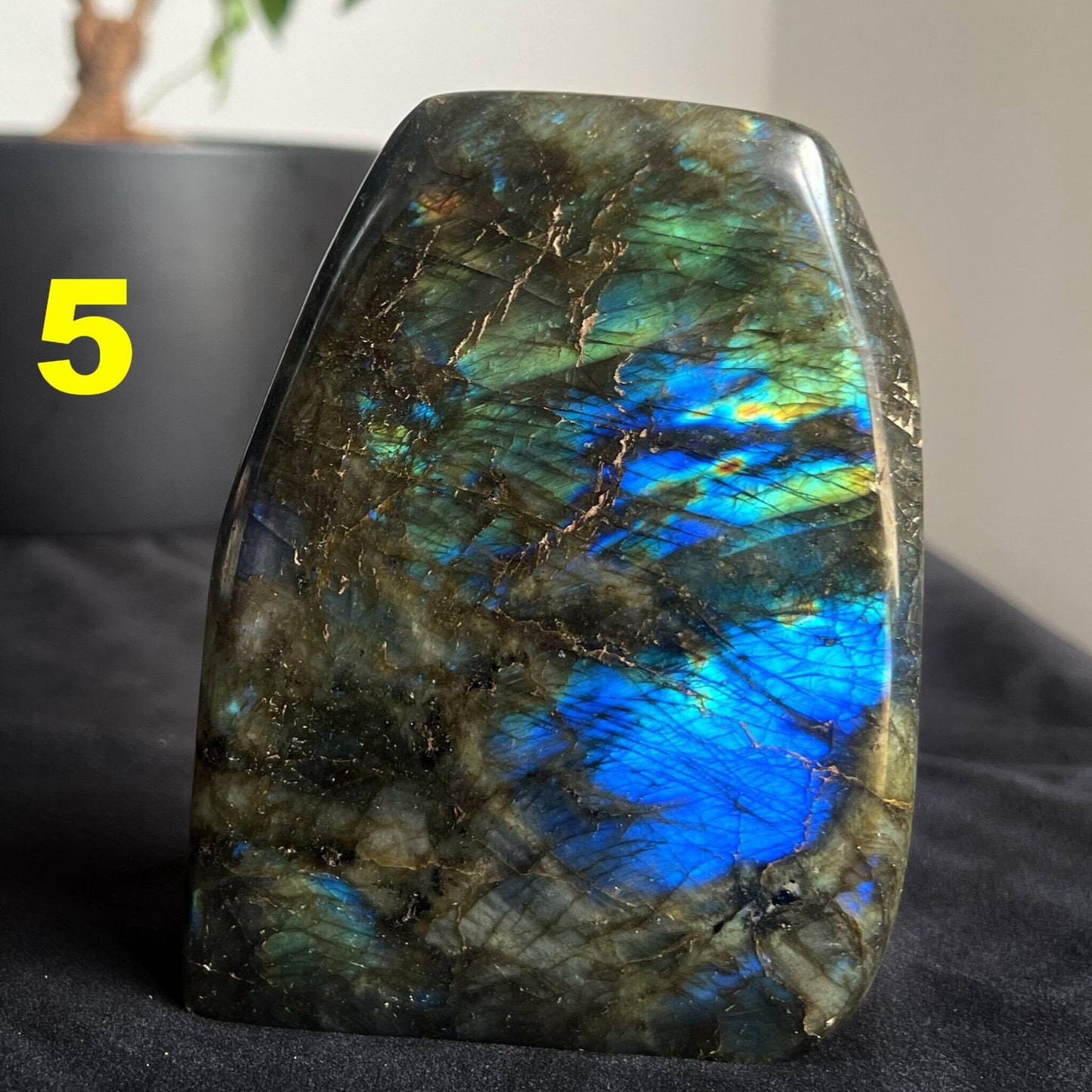 Blue Labradorite Fully Polished